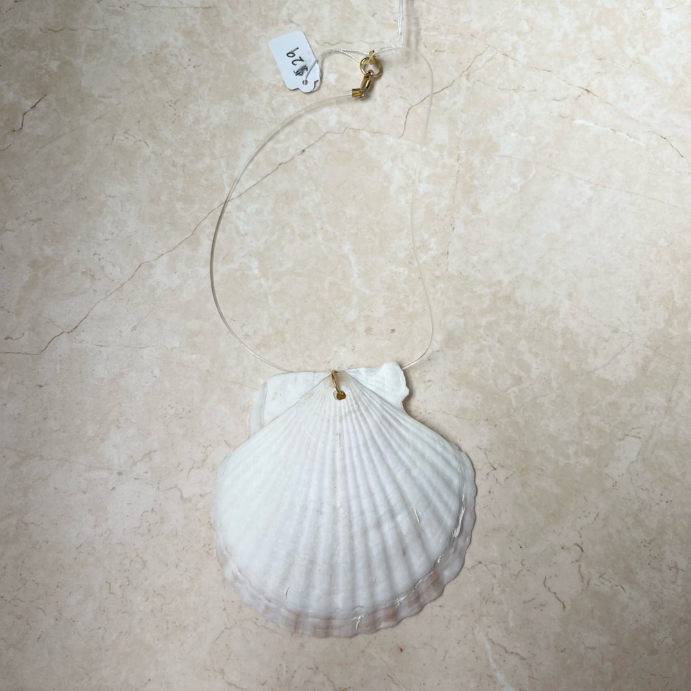 Seashell necklace
